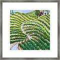 The Road To Gbv Framed Print