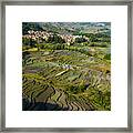 The Scenery Of The Terraced Fields Framed Print