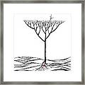 The Seed 7 Framed Print