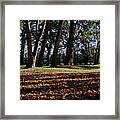 The Shadow Of A Caress Framed Print