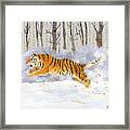 The Siberian Tiger Running In The Snow Framed Print