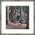 The Silent Guardians Framed Print