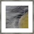 The Skin Of Other Worlds Framed Print