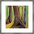 The Sleepy Forest Of Early Spring Framed Print