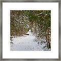 The Snowy Forest Path Framed Print