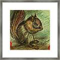 The Squirrel In Cleveland Framed Print