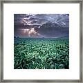 The Storm Framed Print