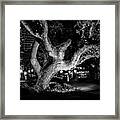The Tree Of Life Framed Print