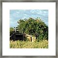 The Tunnel And The Wild Plum Thicket Framed Print