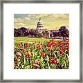 The Washington State Capitol  1984 Framed Print