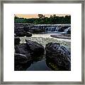 The Watering Hole Framed Print