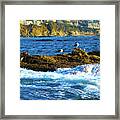 The Waves Of Life Framed Print