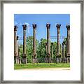 The Windsor Ruins Framed Print