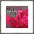 There Is Simply The Rose Framed Print