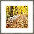 They All Fall Down #1 Framed Print