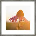 They Call It The Golden Hour Framed Print