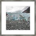 They Come To See The Glaciers, Alaska Framed Print