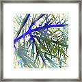 Thicket Framed Print