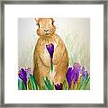 This Is For You Framed Print
