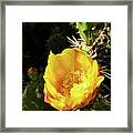 Thorns Can Save You Framed Print