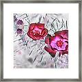 Thorny Situation In Red Framed Print