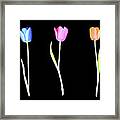 Three Colored Tulips Framed Print