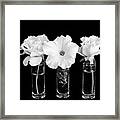 Three Flowers Framed Print