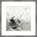 Three Pigeons Framed Print