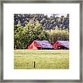 Three Red Barns Framed Print