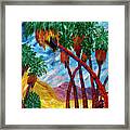 Thriving In The Heat. Palm Springs, California. Framed Print