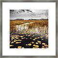 Thunder Over The Autumn Marsh Framed Print