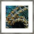 Tied Knots Composition Framed Print