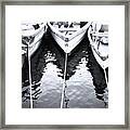 Tied Up In Cape Porpoise Framed Print