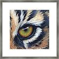 Tiger Eye Study Framed Print