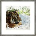 Tiger Portrait With Textures Framed Print