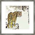 Tiger Framed Print