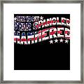 Time To Get Star Spangled Hammered 4th Of July Framed Print