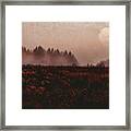 To The Other World Framed Print