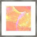 To Watch You Reveal Framed Print