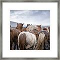Together - Horse Art Framed Print