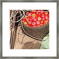 Tomatoes And Other Vegetables For Sale Framed Print