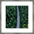 Top View Of Dark Evergreen Forest Landscape. Framed Print