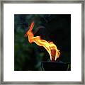 Torch Series V Framed Print