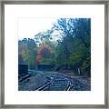 Towners Woods Tracks Framed Print