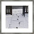Traces In The Snow Framed Print