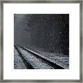 Tracks In The Snow Framed Print