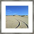 Tracks On The Dunes Framed Print