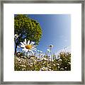 Traditional English Countryside Framed Print