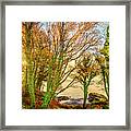 Tranquility Cove Framed Print