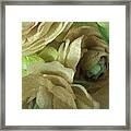 Tranquility Green Framed Print